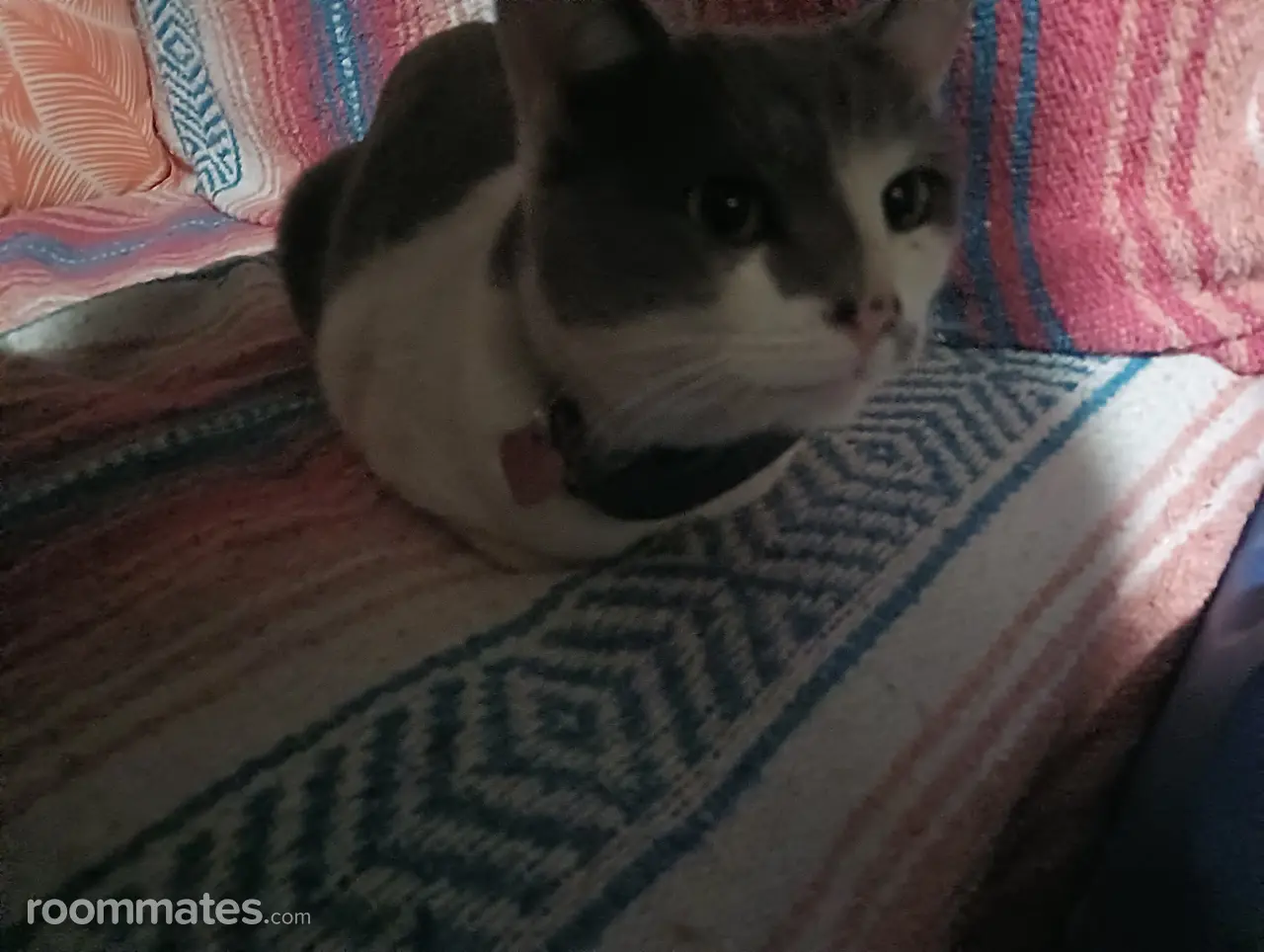 Profile photo 1 of 1