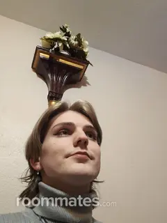 Roommate looking Rocklin, CA, $1000