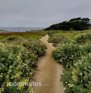 Roommate looking Turlock, CA, $800