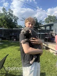 Roommate looking Omaha, NE, $1300