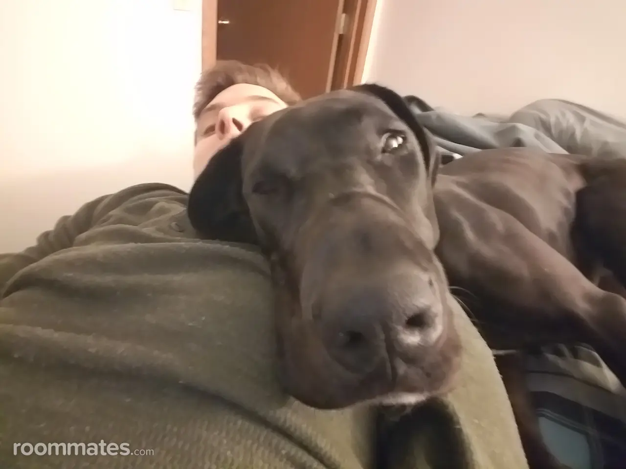 Profile photo 10 of 19