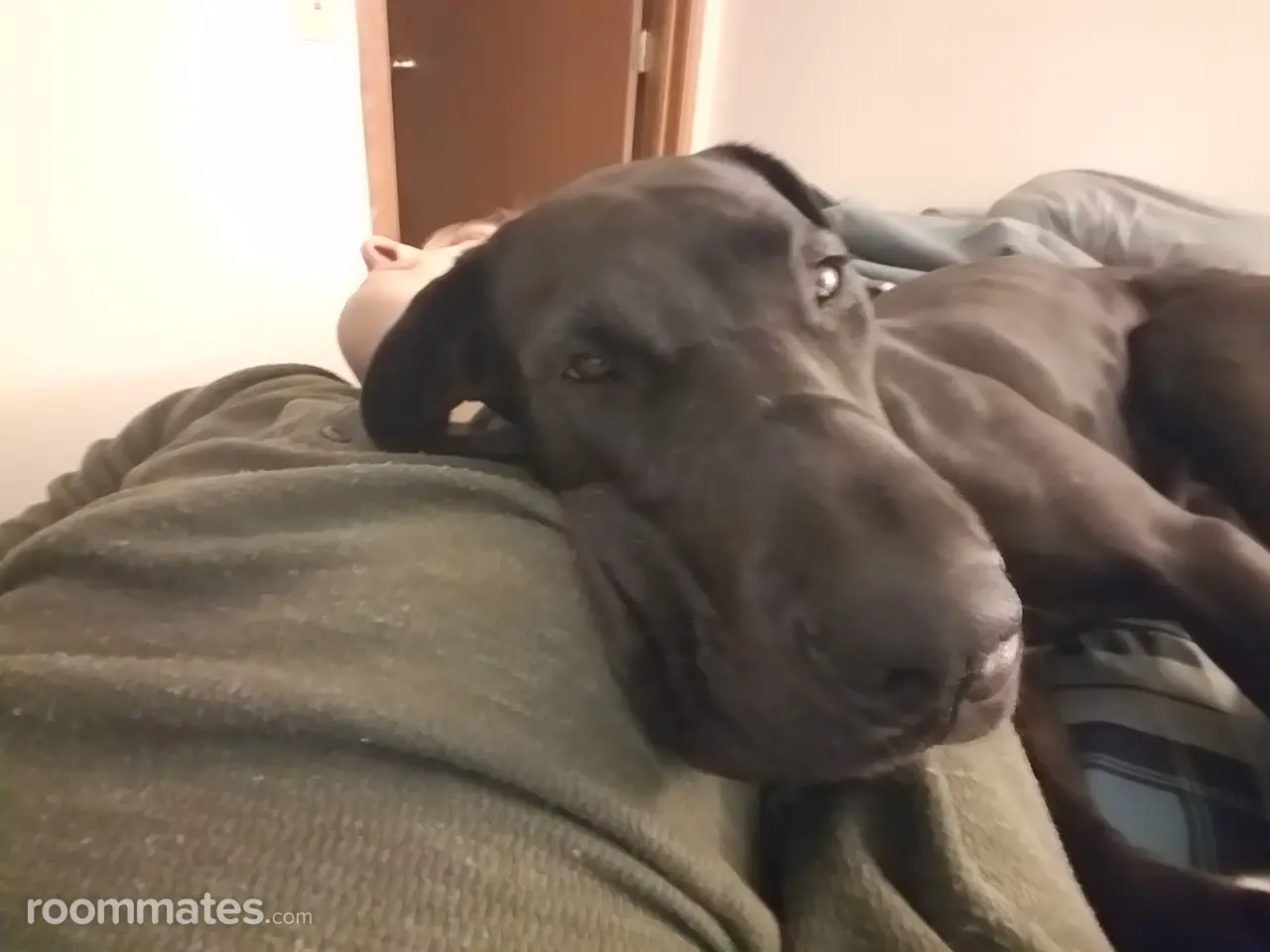 Profile photo 13 of 19