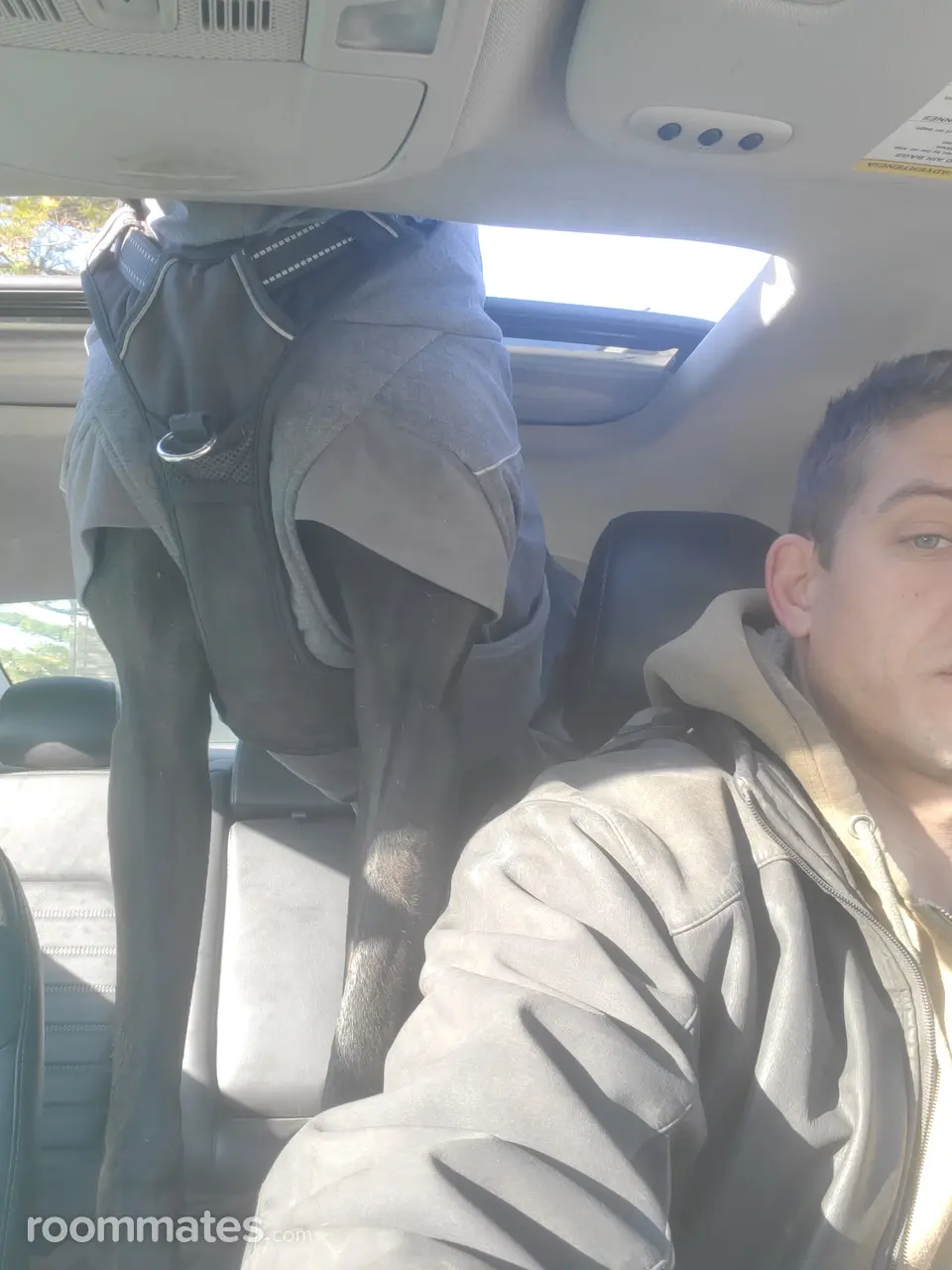 Profile photo 12 of 19