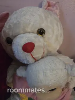 Roommate looking Washington Navy Yard, DC, $800