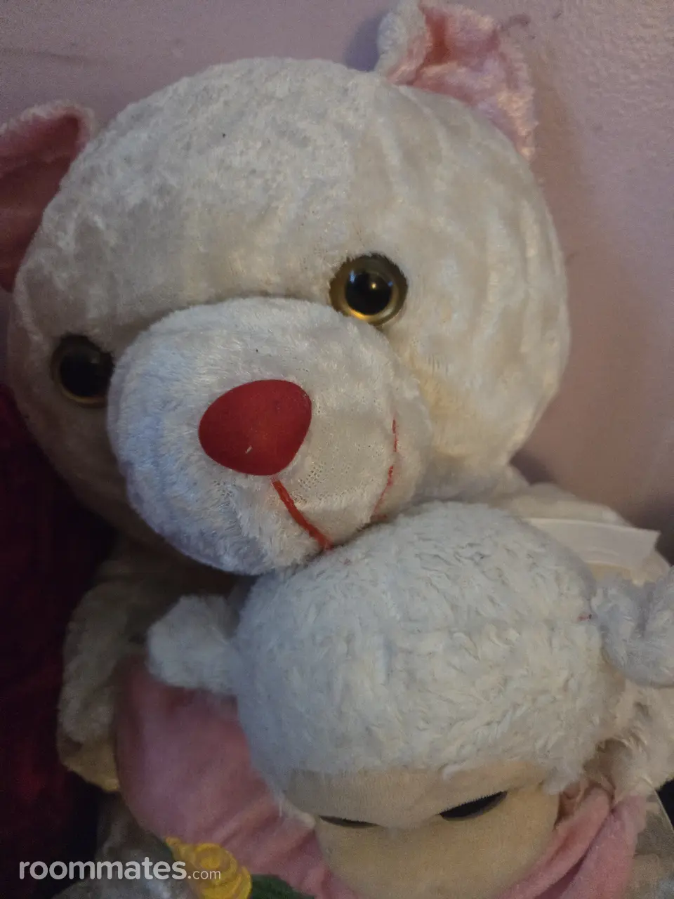 Profile photo 1 of 1