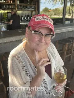 Roommate looking Orland Park, IL, $1000