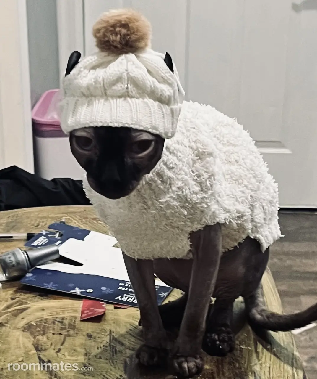 Profile photo 7 of 7