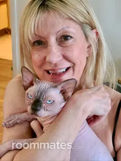 Roommate looking Bernardsville, NJ, $1000