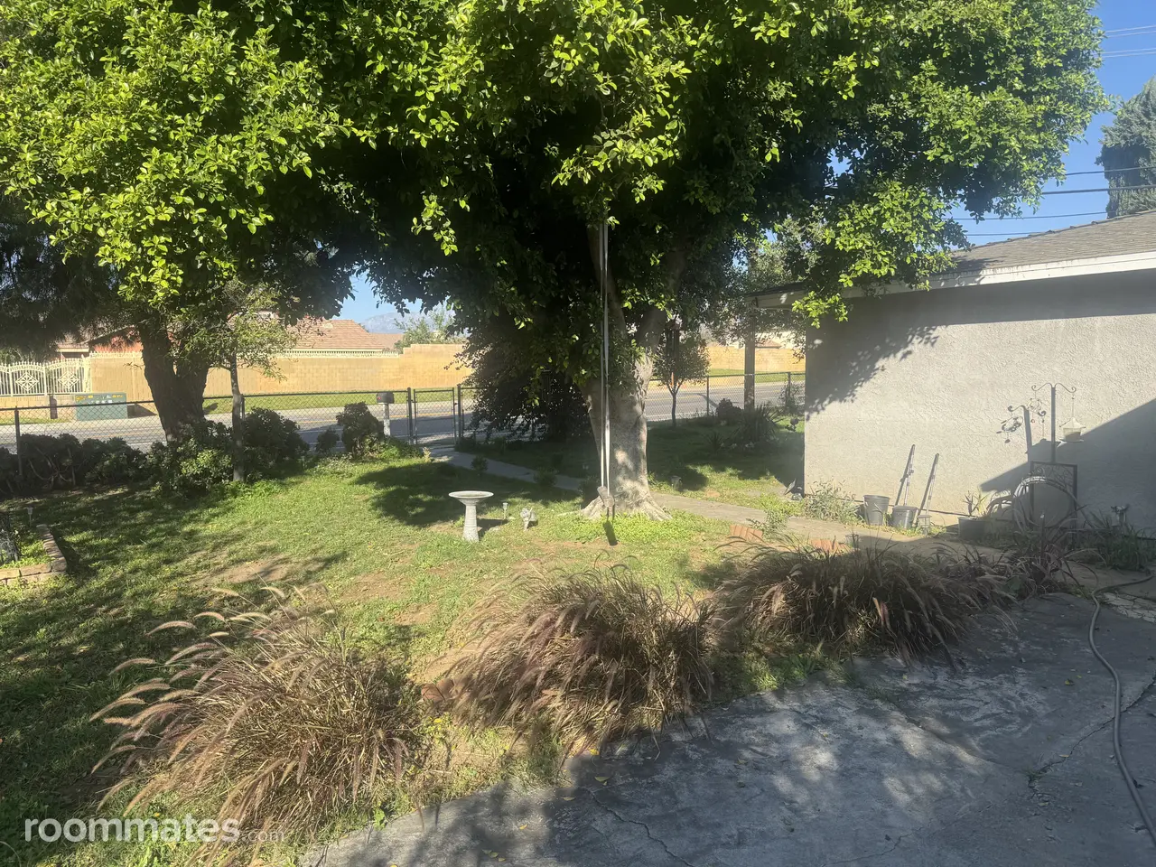 Profile photo 5 of 8