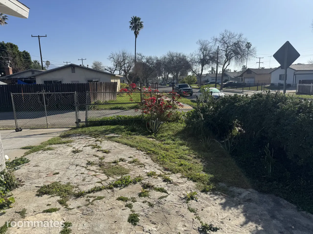 Profile photo 7 of 8