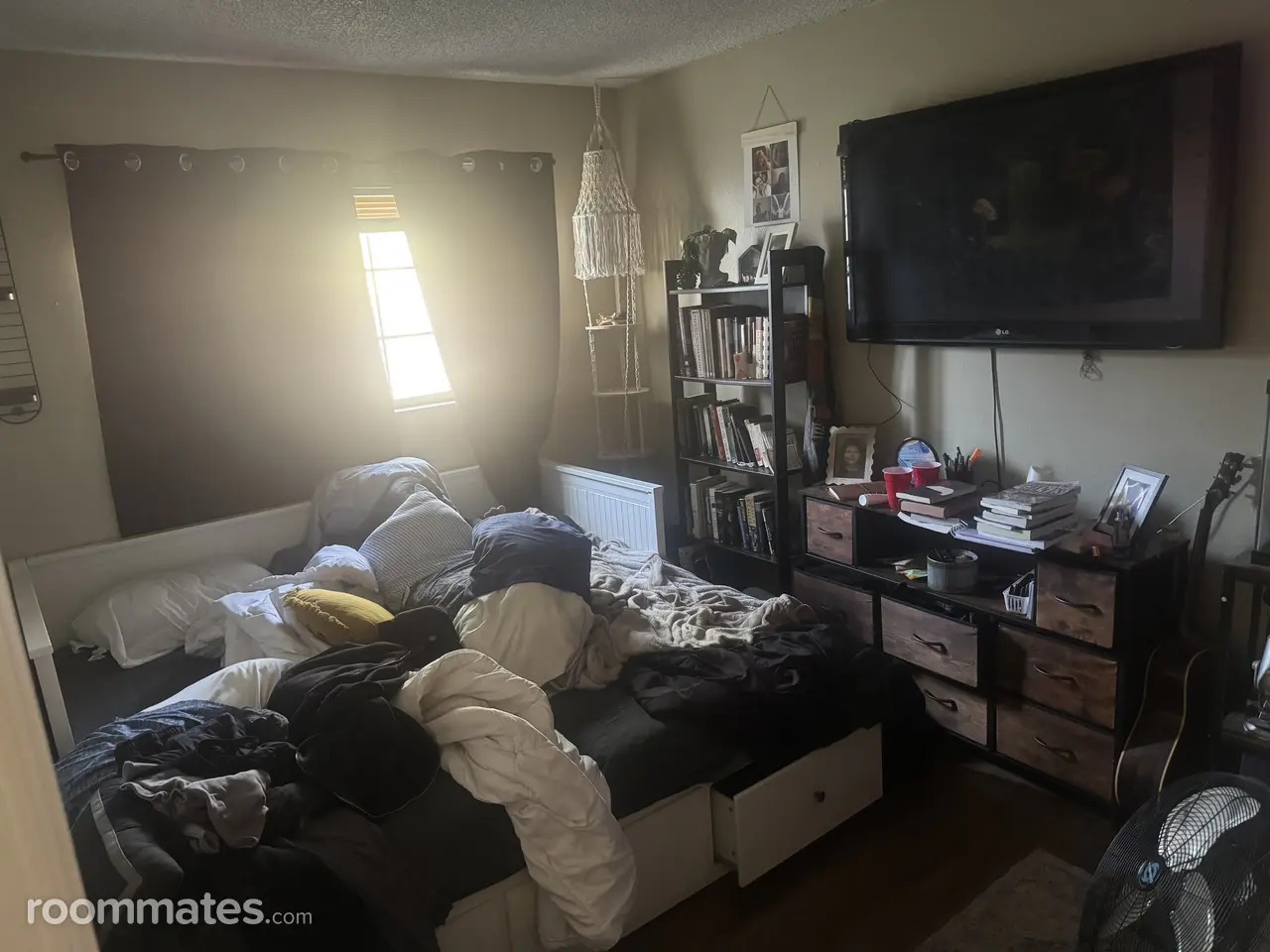 Profile photo 2 of 8