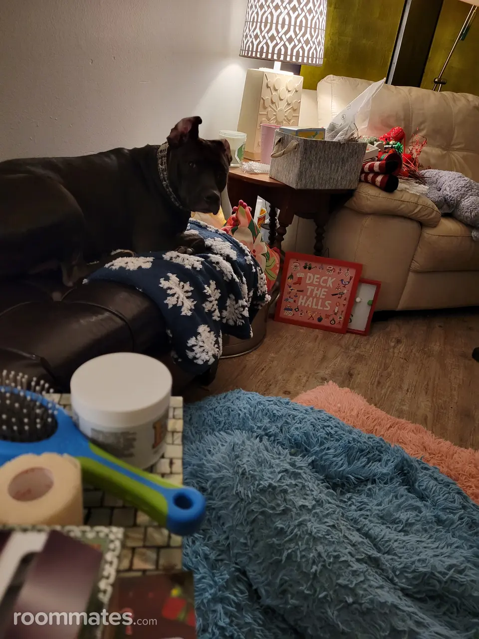 Profile photo 1 of 2