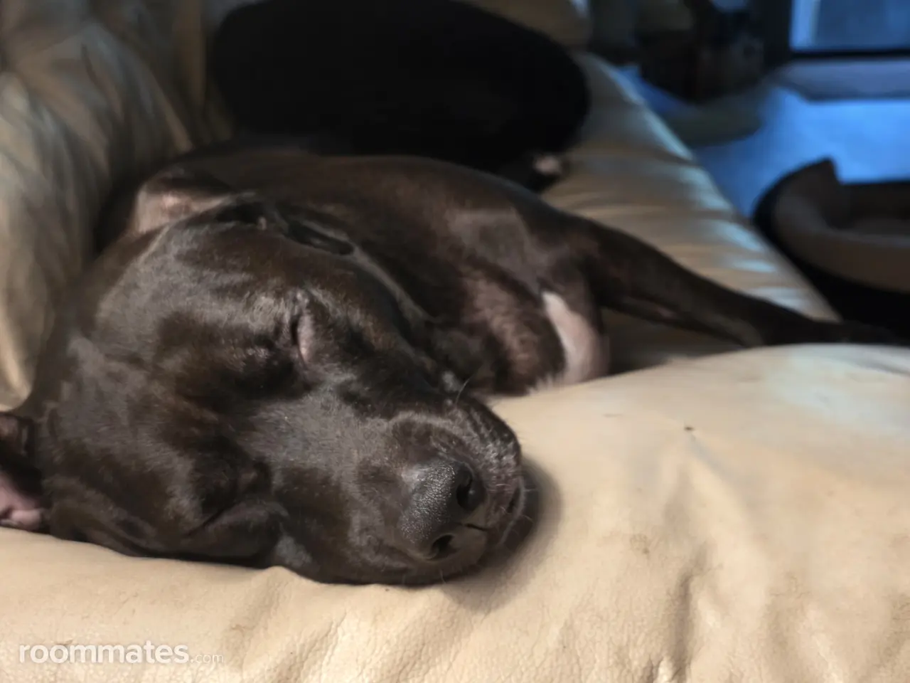 Profile photo 2 of 2