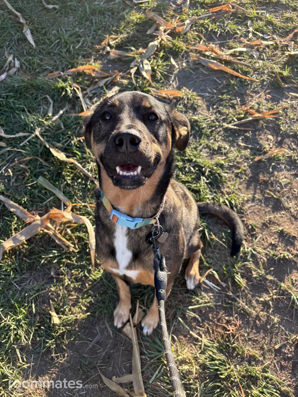 Profile photo 8 of 9