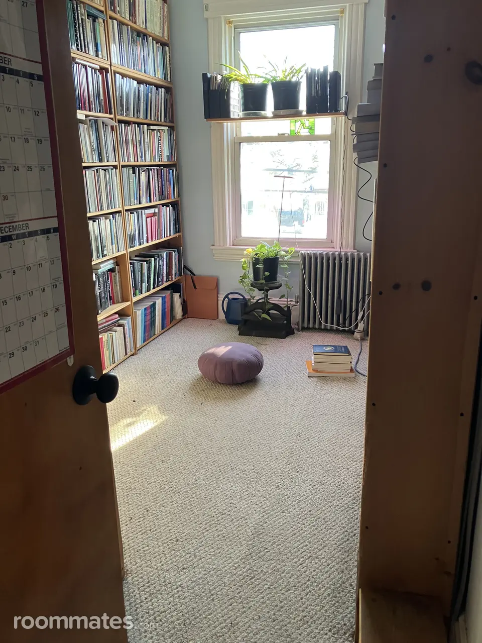 Profile photo 8 of 9