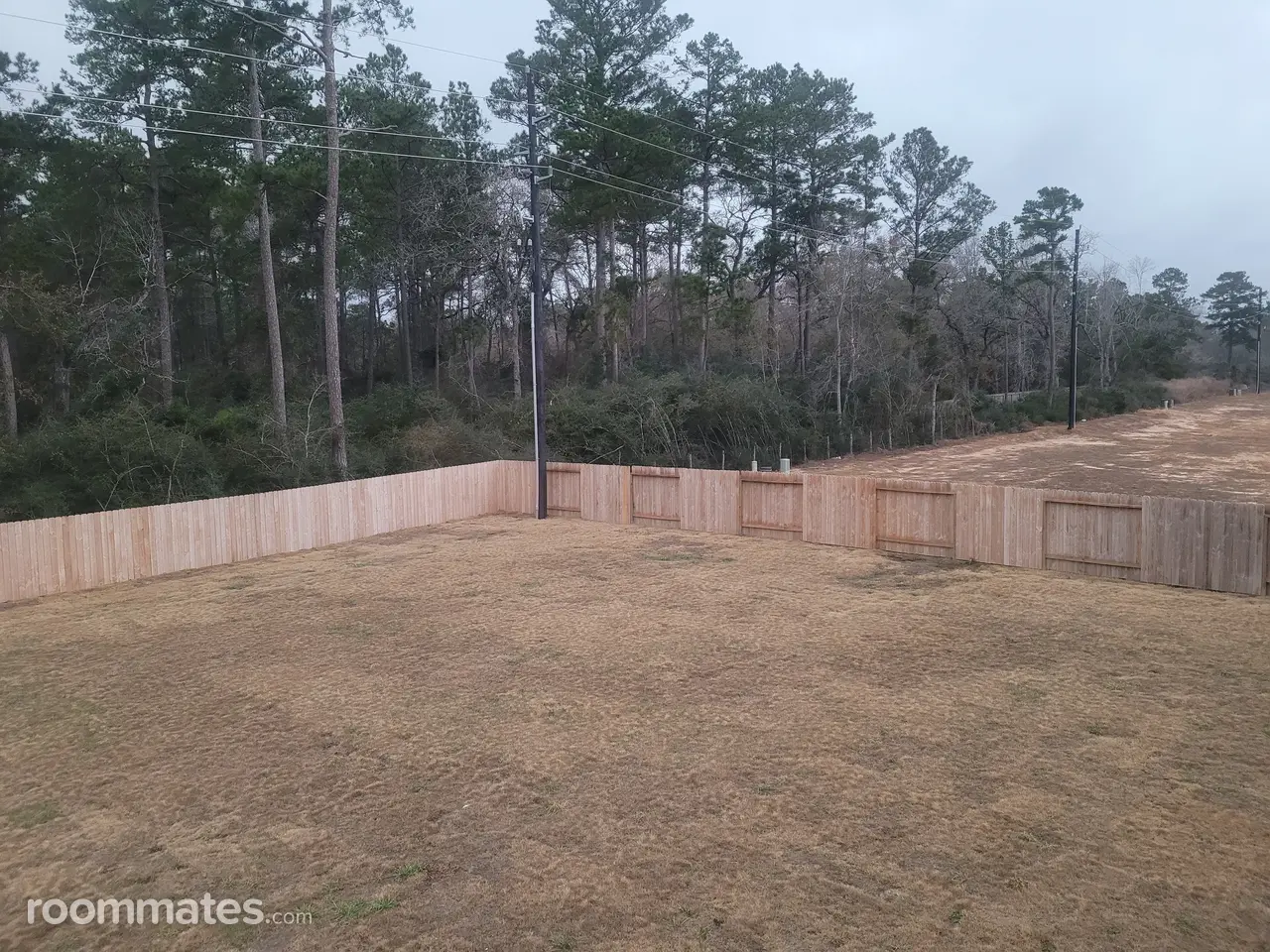 Profile photo 2 of 3