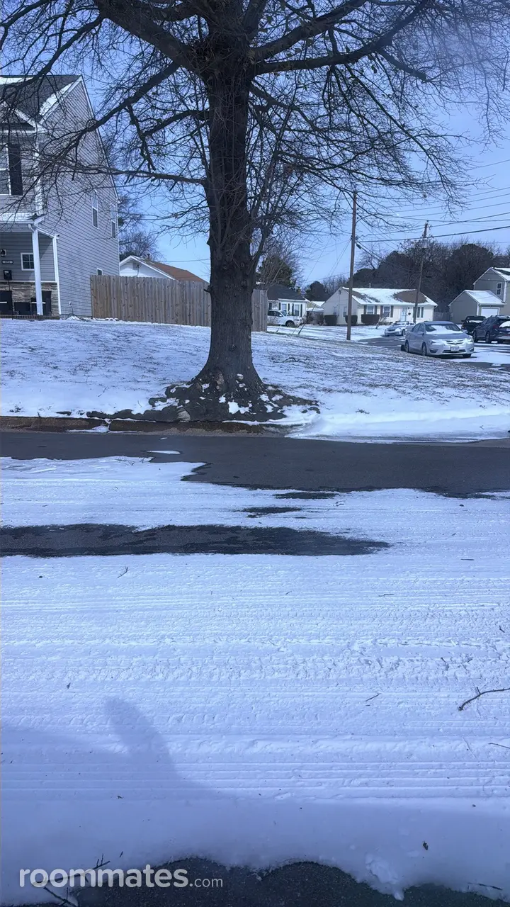 Profile photo 2 of 7