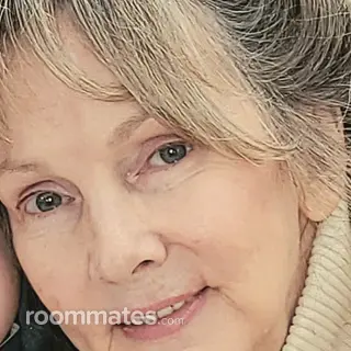 Roommate looking Knoxville, TN, $700