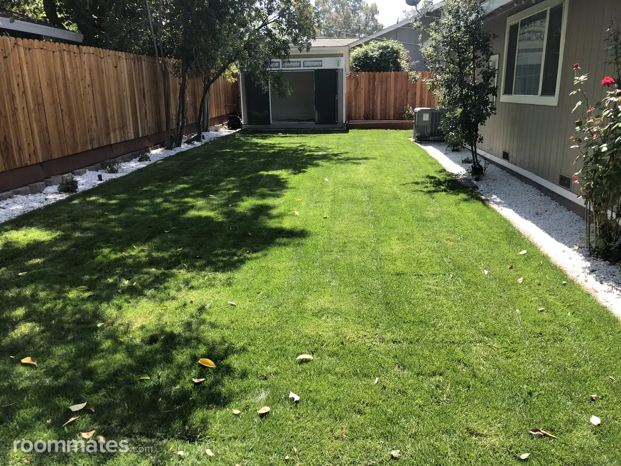 Profile photo 9 of 11