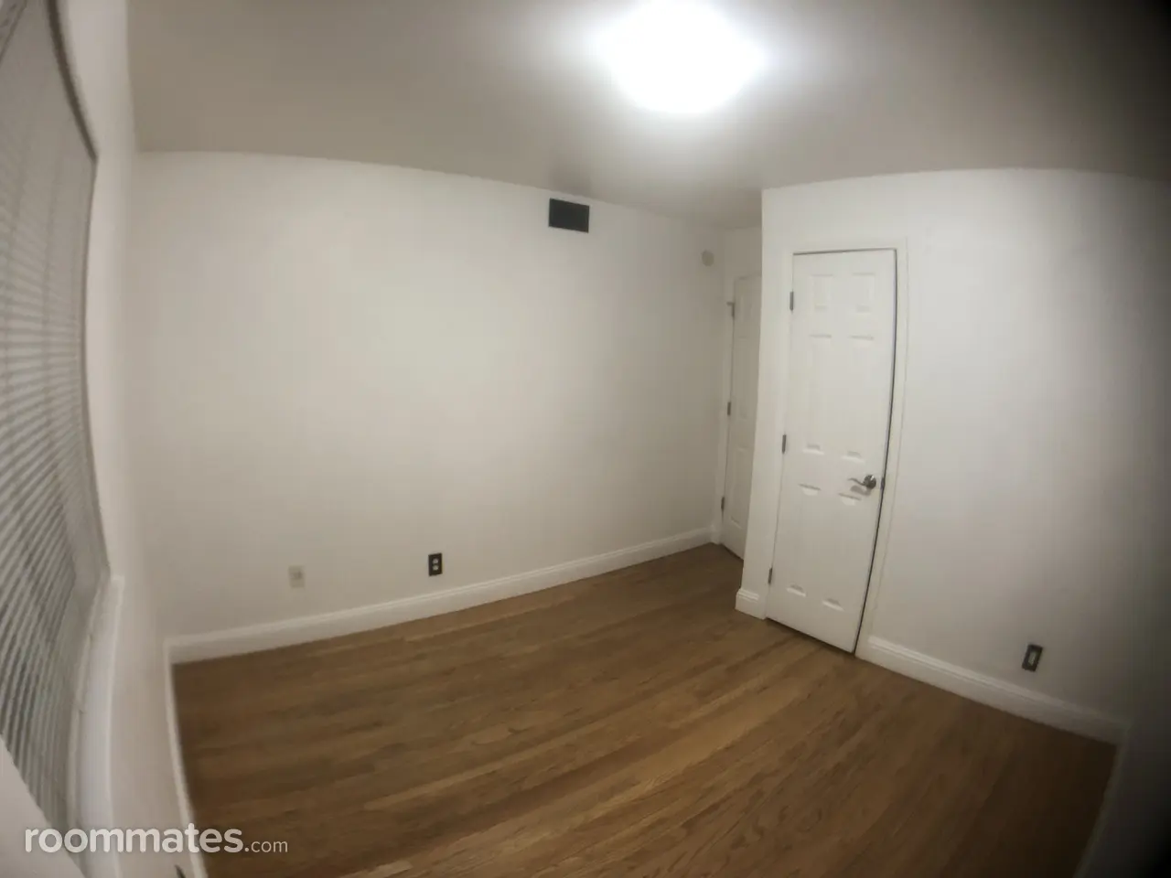 Profile photo 4 of 11