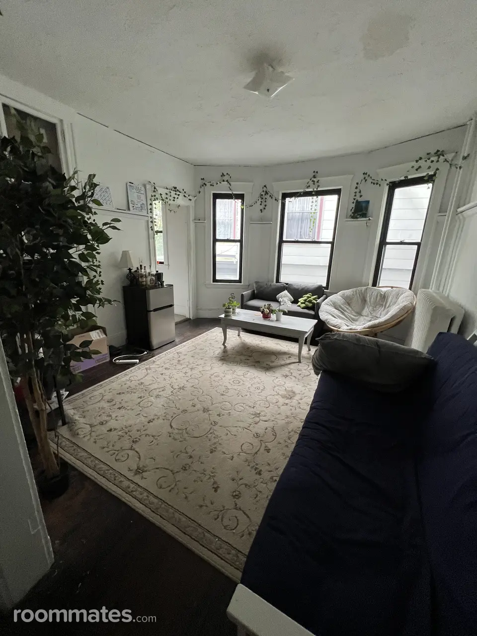 Profile photo 3 of 11