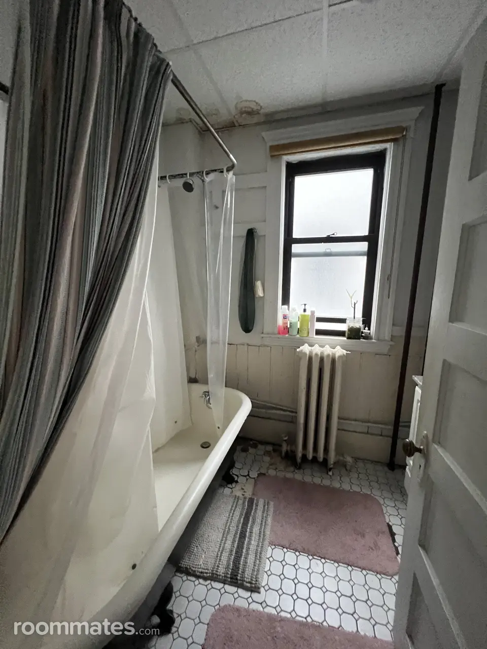 Profile photo 7 of 11