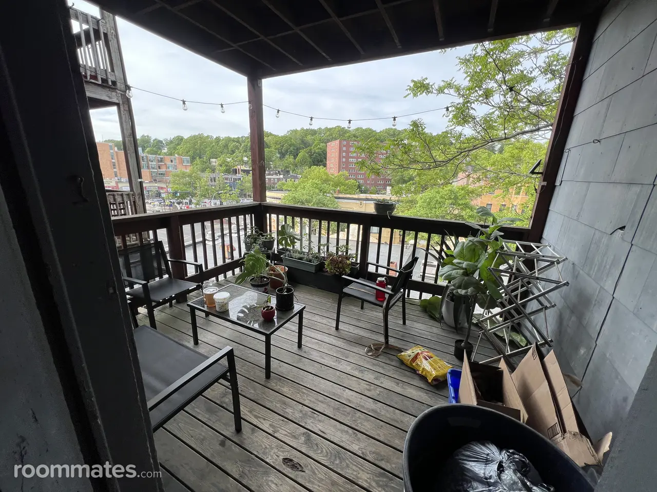 Profile photo 10 of 11