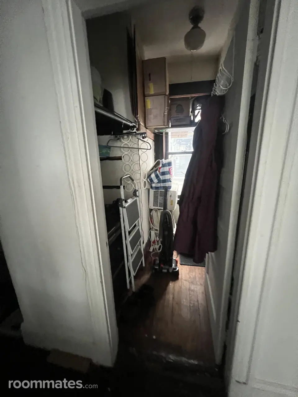 Profile photo 4 of 11