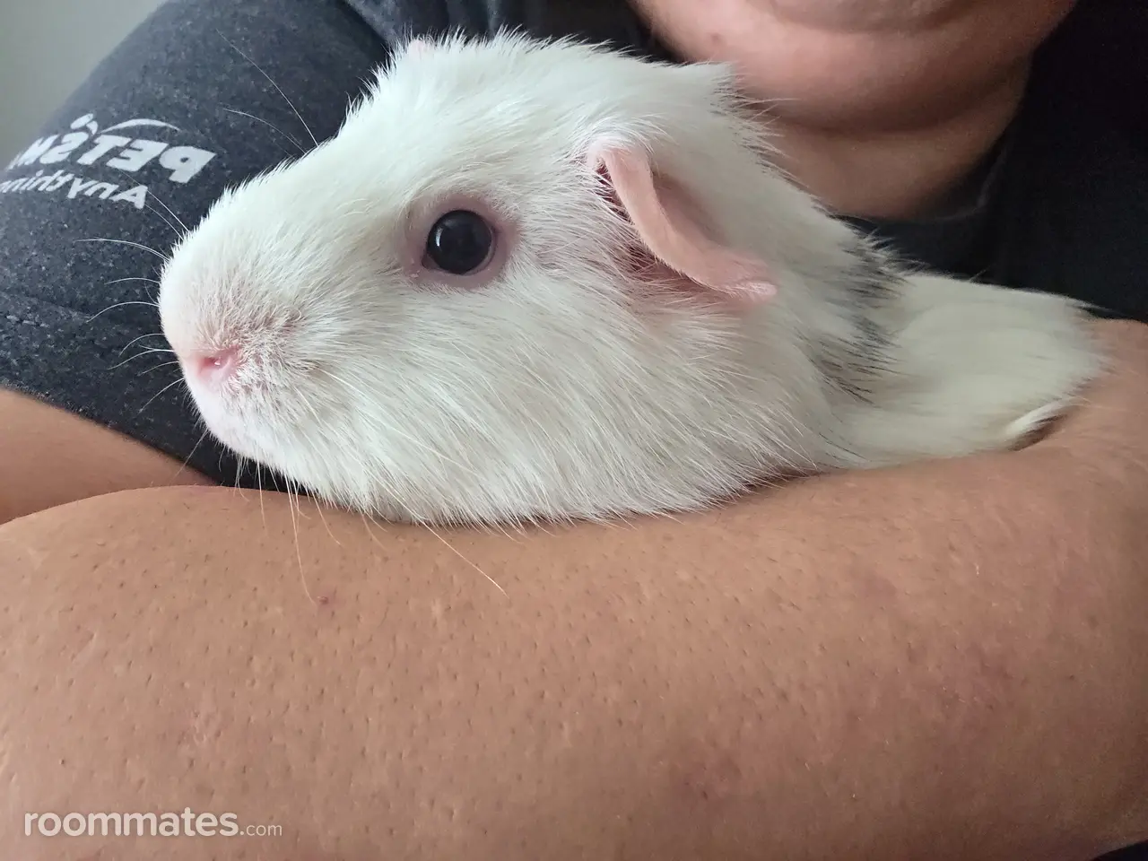 Profile photo 2 of 2