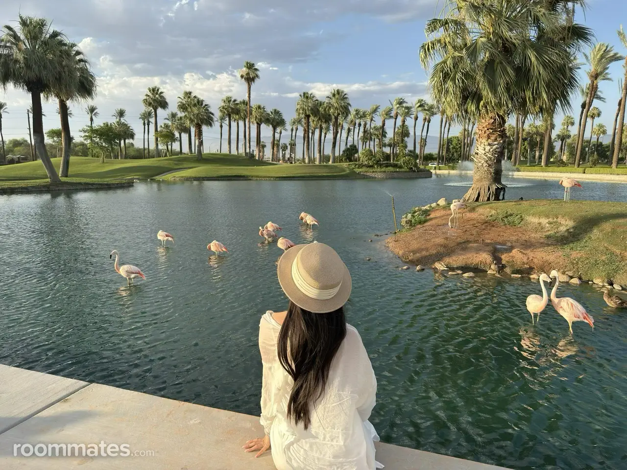 Profile photo 1 of 1