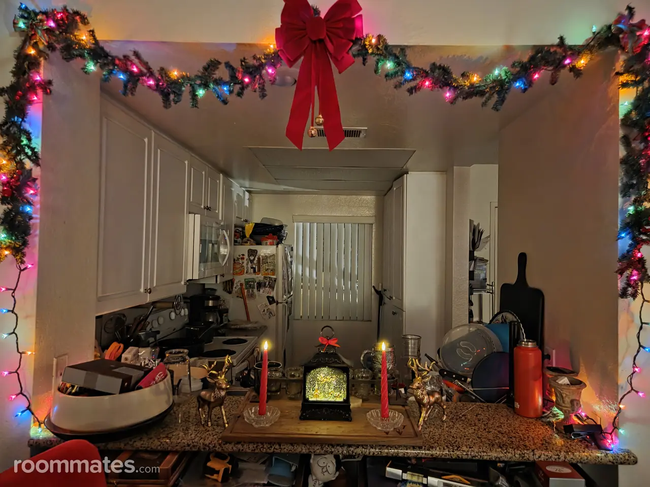 Profile photo 4 of 7