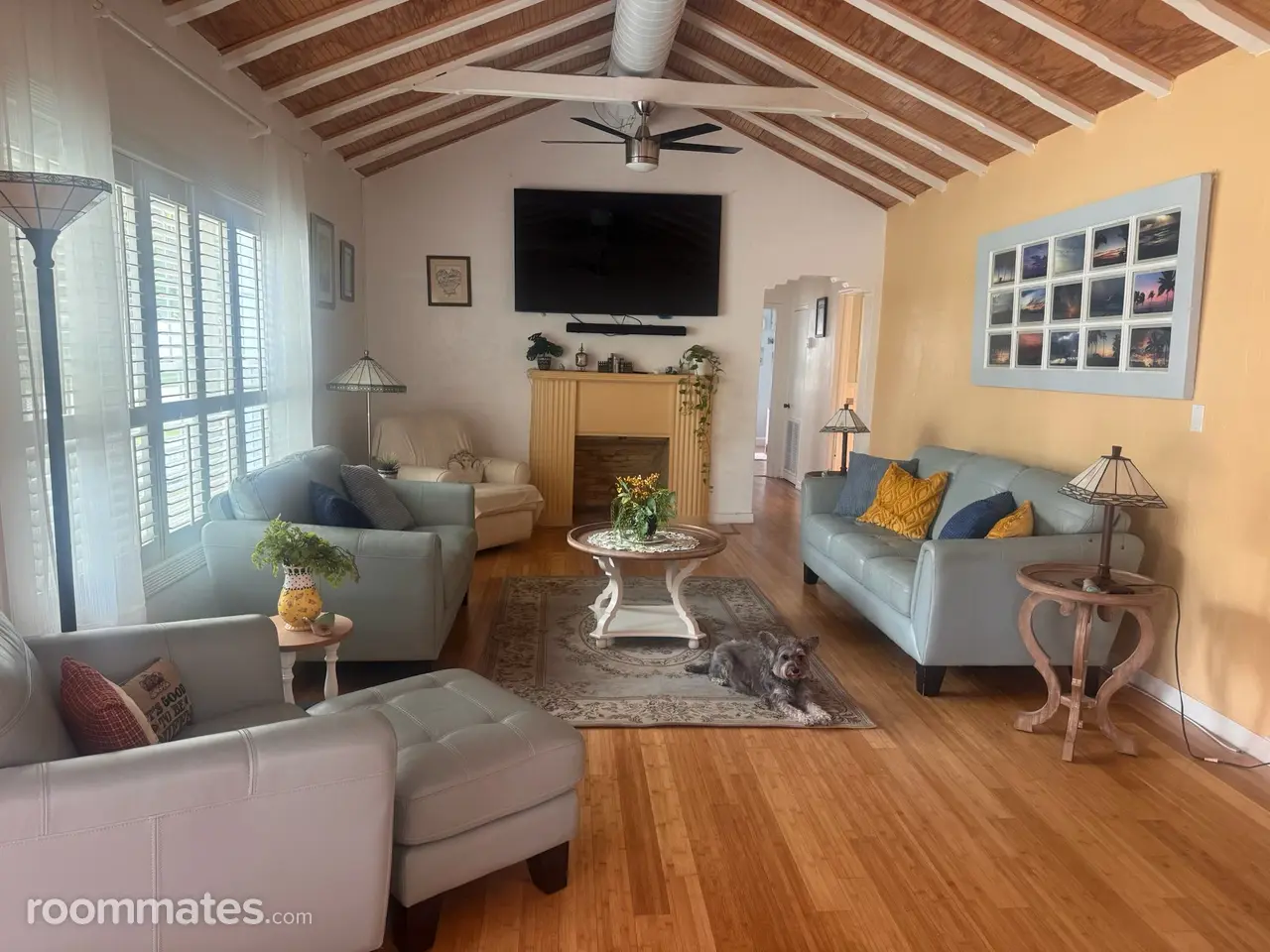 Profile photo 5 of 6