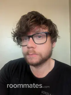 Roommate looking Pittsburgh, PA, $1000