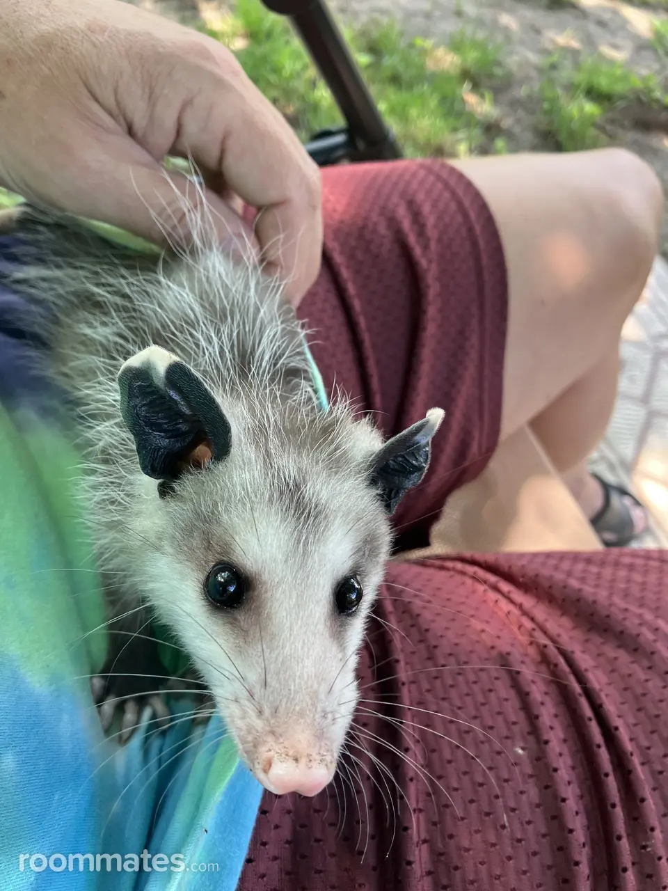 Profile photo 3 of 7