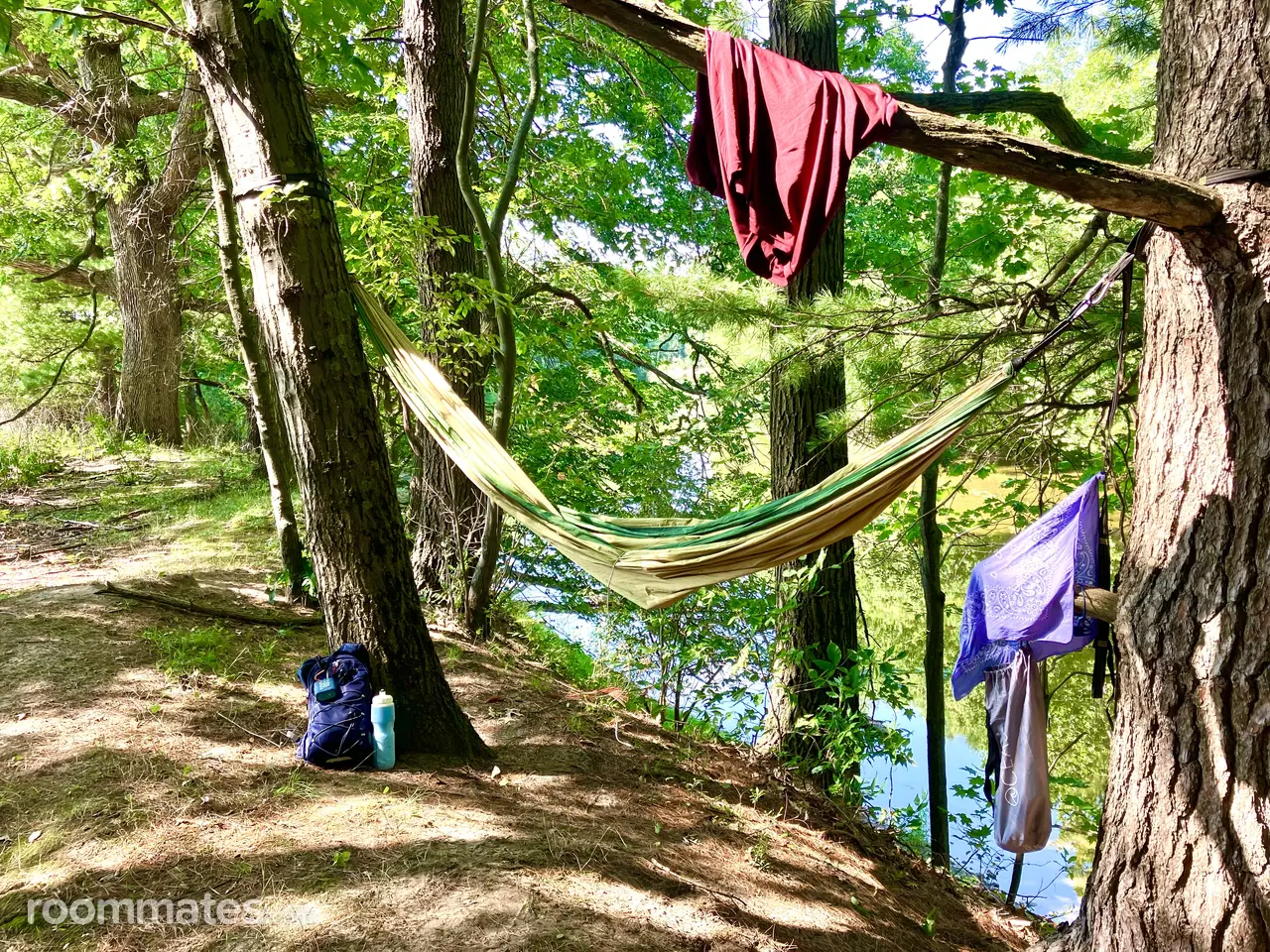 Profile photo 4 of 7