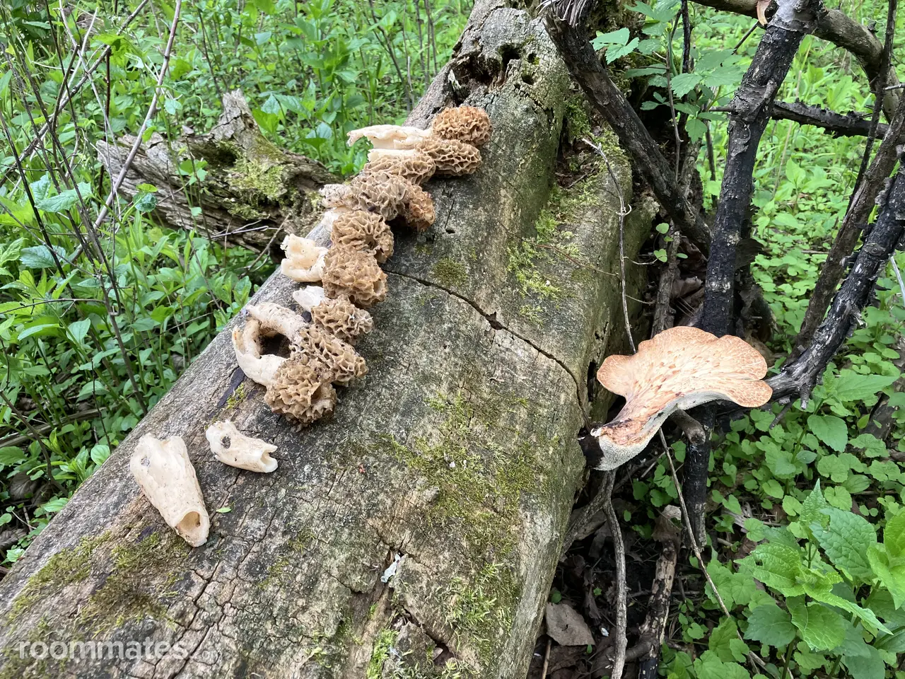 Profile photo 7 of 7