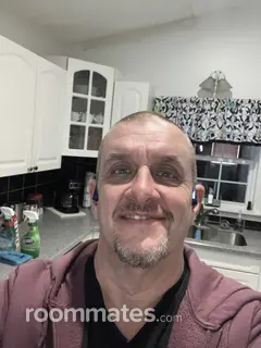 Roommate looking Midland, MI, $600