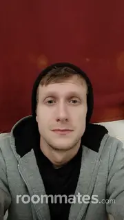 Roommate looking Asheville, NC, $800