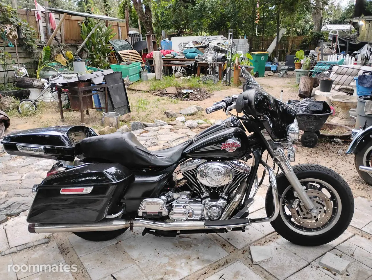 Profile photo 3 of 3