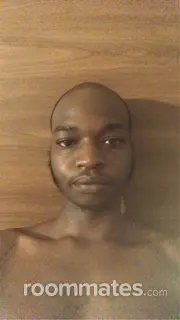 Roommate looking Longmeadow, MA, $900