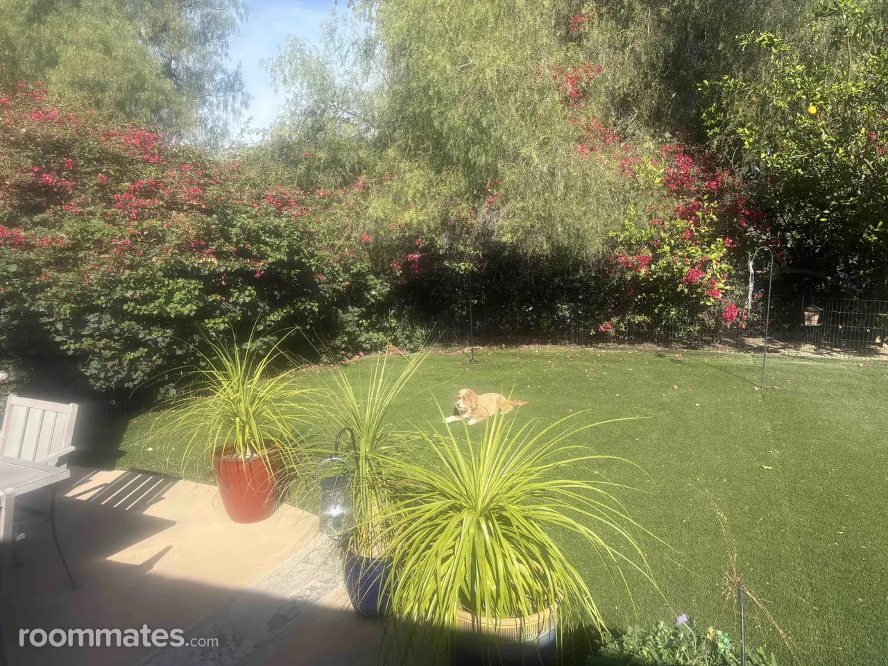 Profile photo 8 of 10