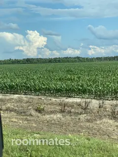 Room for rent in Aynor, SC $900, house