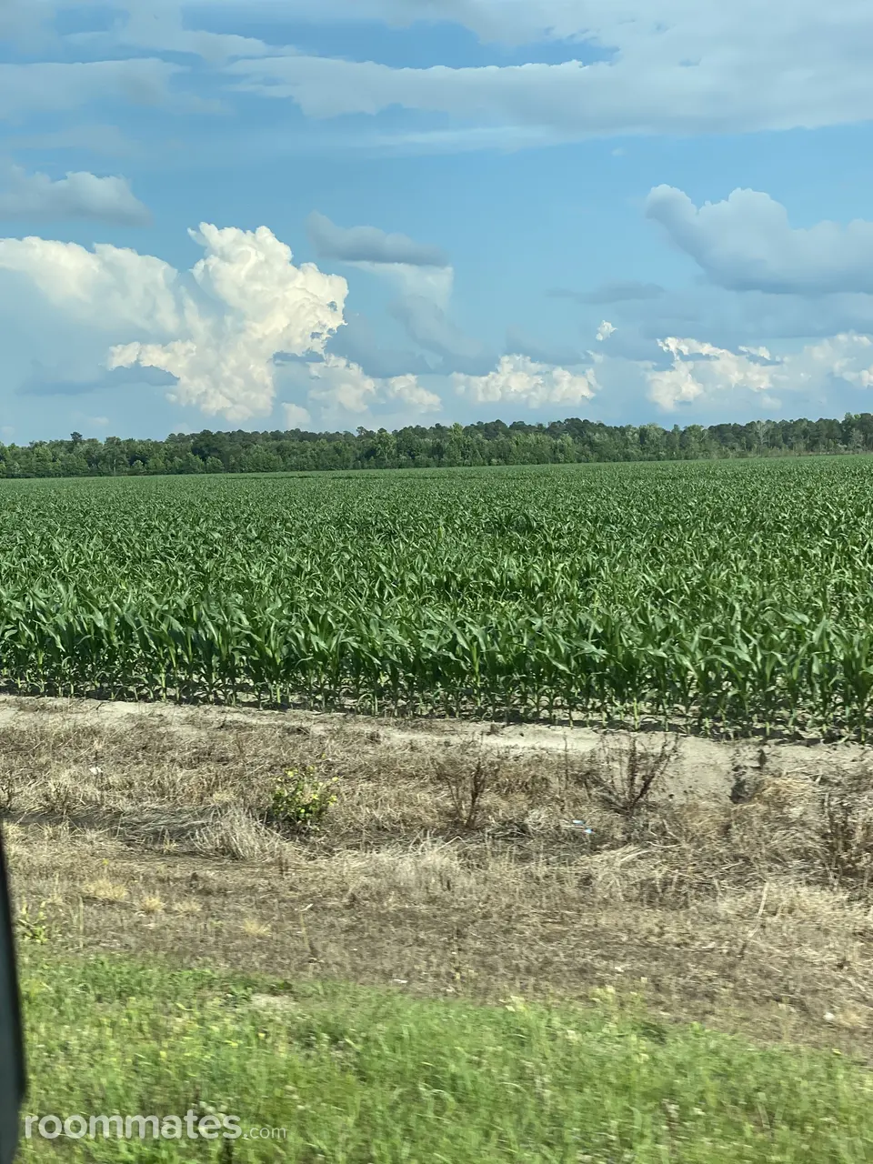 Profile photo 1 of 2