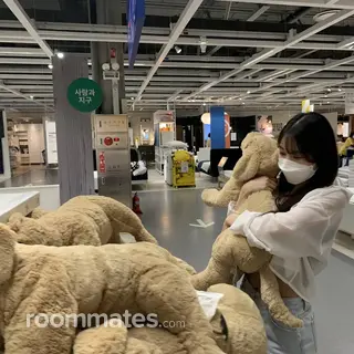 Roommate looking Albuquerque, NM, $800