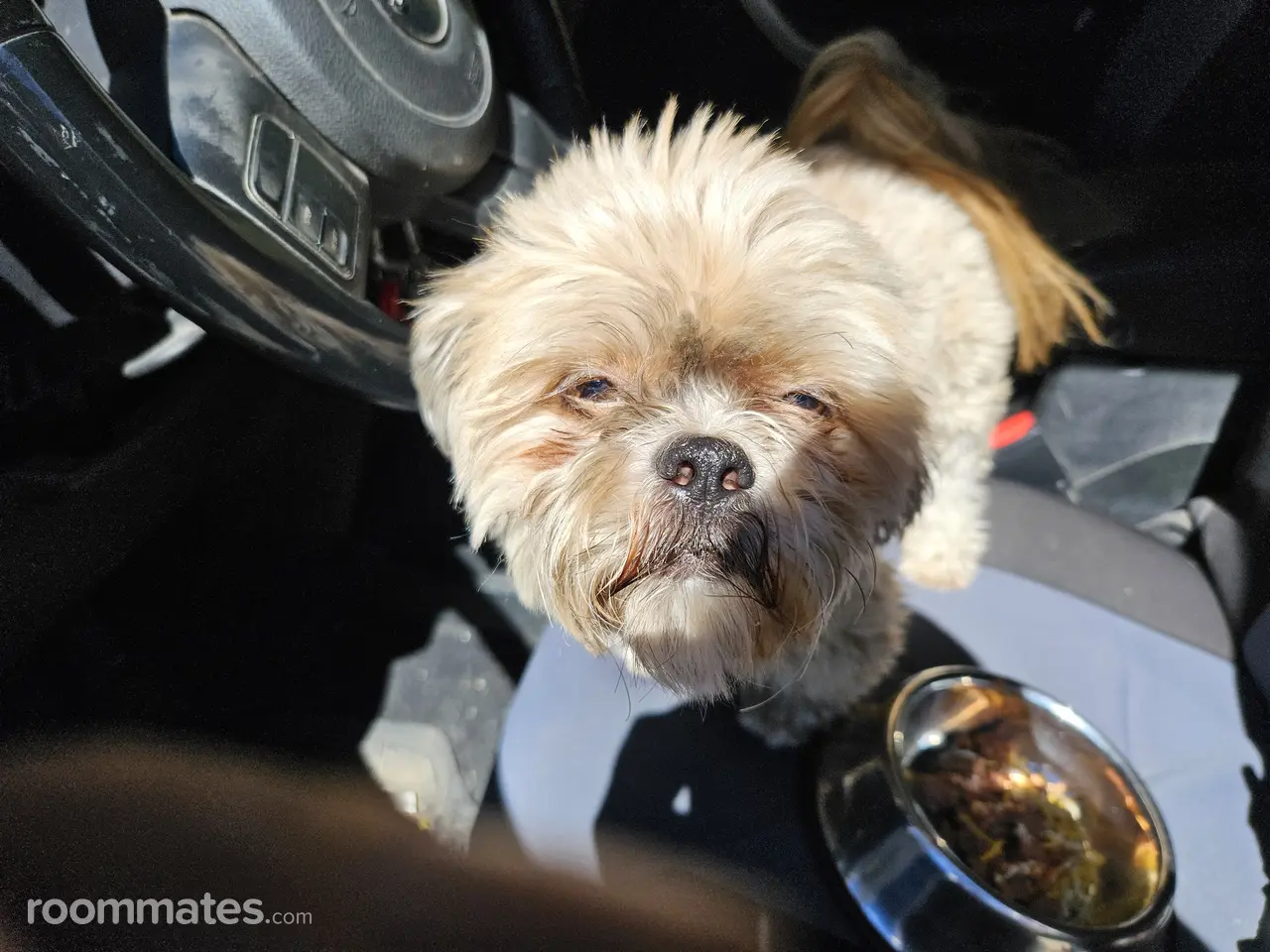 Profile photo 13 of 15