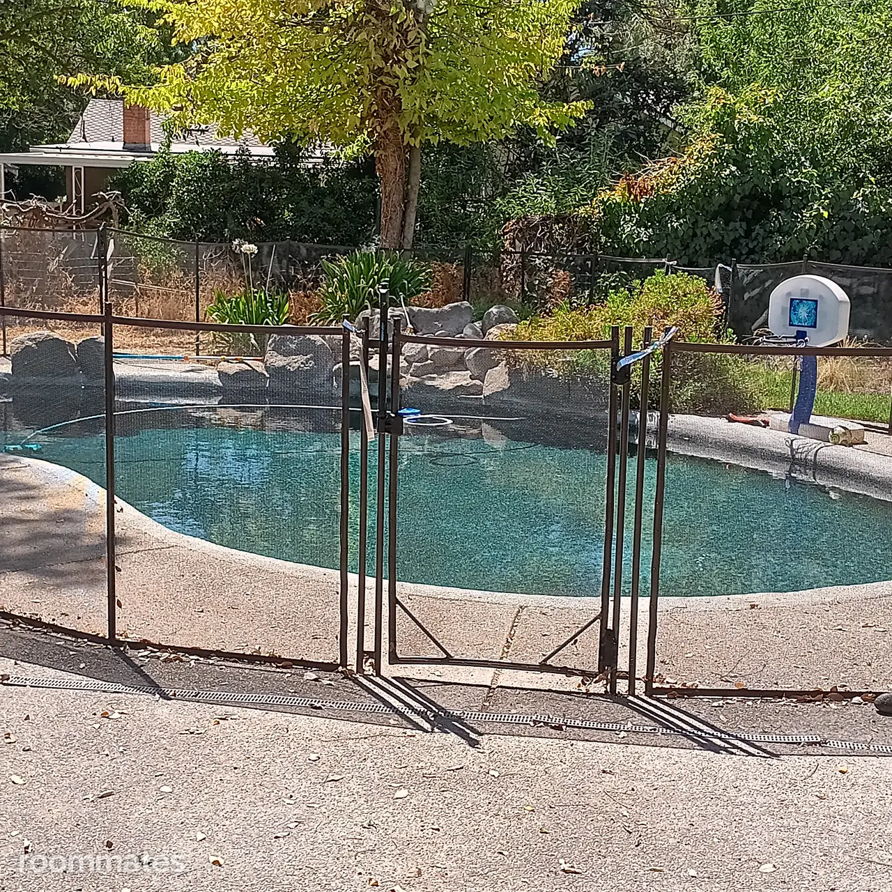 Profile photo 2 of 4