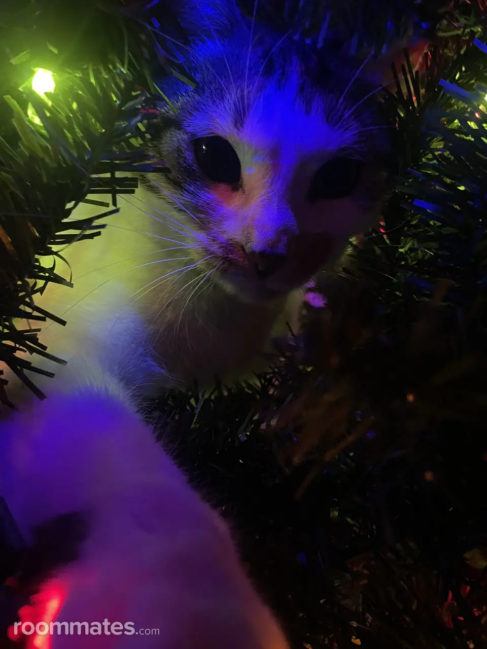 Profile photo 10 of 10