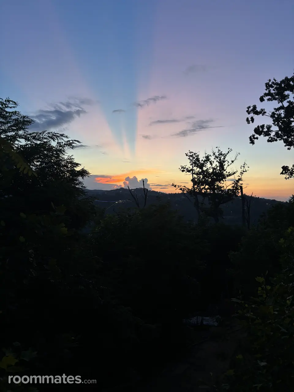 Profile photo 8 of 10