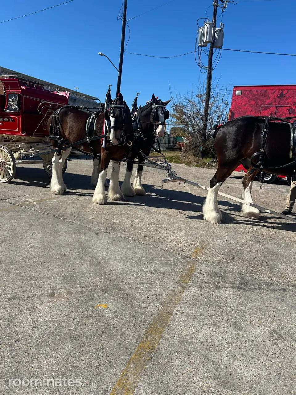 Profile photo 1 of 1