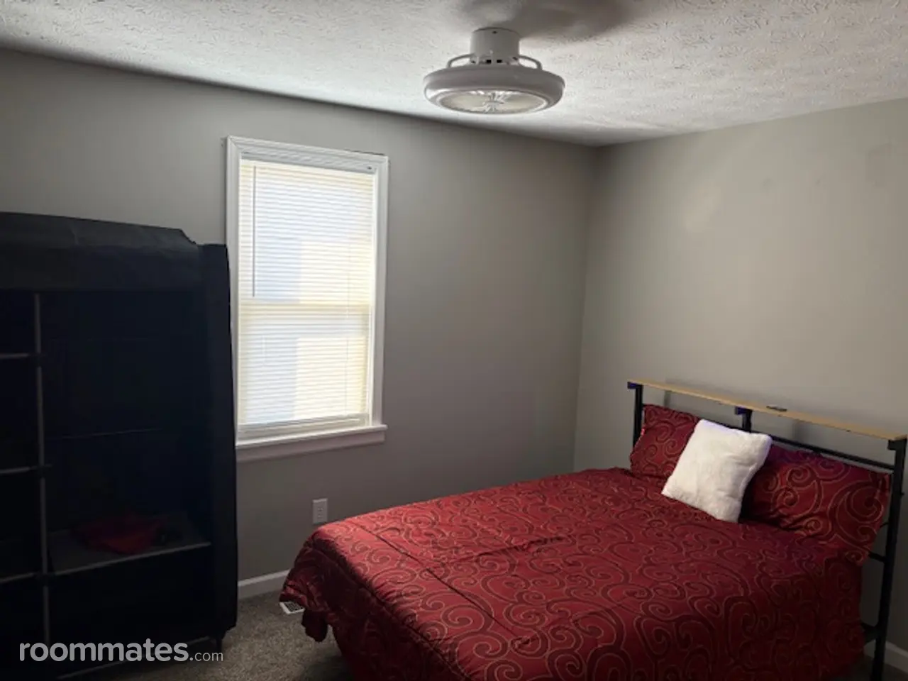 Profile photo 5 of 10